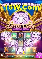 Recursos de Bônus 87z